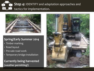 Spring/Early Summer 2014
• Timber marking
• Road layout
• Pre-sale road work
• Temporary bridge installation
Currently being harvested
(weather permitting!)
1
2
34
5 Step 4: IDENTIFY and adaptation approaches and
tactics for implementation.
 