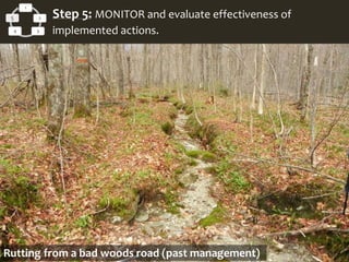 Rutting from a bad woods road (past management)
1
2
34
5 Step 5: MONITOR and evaluate effectiveness of
implemented actions.
 