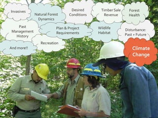 Desired
ConditionsNatural Forest
Dynamics
Wildlife
Habitat
Past
Management
History
Invasives Timber Sale
Revenue
Disturbance:
Past + Future
Recreation
Forest
Health
And more!! Climate
Change
Plan & Project
Requirements
 