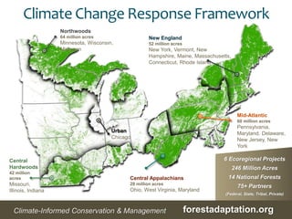 6 Ecoregional Projects
246 Million Acres
14 National Forests
75+ Partners
(Federal, State, Tribal, Private)
Northwoods
64 million acres
Minnesota, Wisconsin,
Michigan
Central
Hardwoods
42 million
acres
Missouri,
Illinois, Indiana
Central Appalachians
28 million acres
Ohio, West Virginia, Maryland
New England
52 million acres
New York, Vermont, New
Hampshire, Maine, Massachusetts,
Connecticut, Rhode Island
Mid-Atlantic
60 million acres
Pennsylvania,
Maryland, Delaware,
New Jersey, New
York
Urban
Chicago
forestadaptation.orgClimate-Informed Conservation & Management
Climate Change Response Framework
 