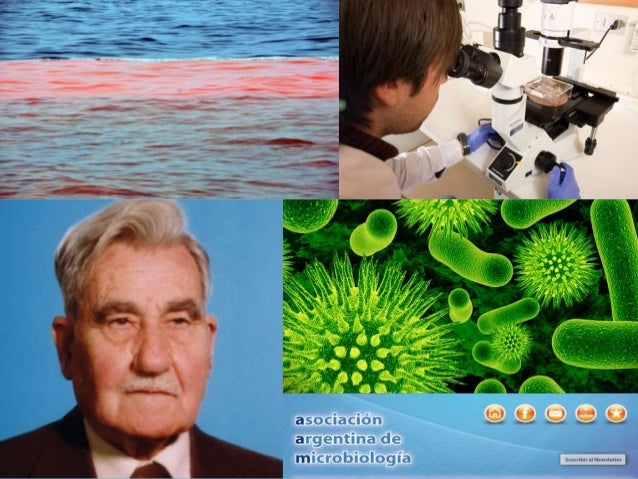 Ciencias Naturales y Ciencia en Argentina