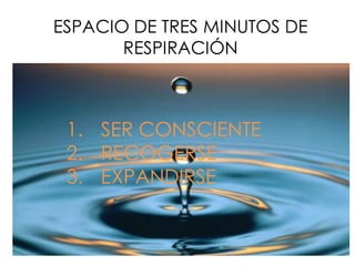 ESPACIO DE TRES MINUTOS DE
RESPIRACIÓN
1. SER CONSCIENTE
2. RECOGERSE
3. EXPANDIRSE
 