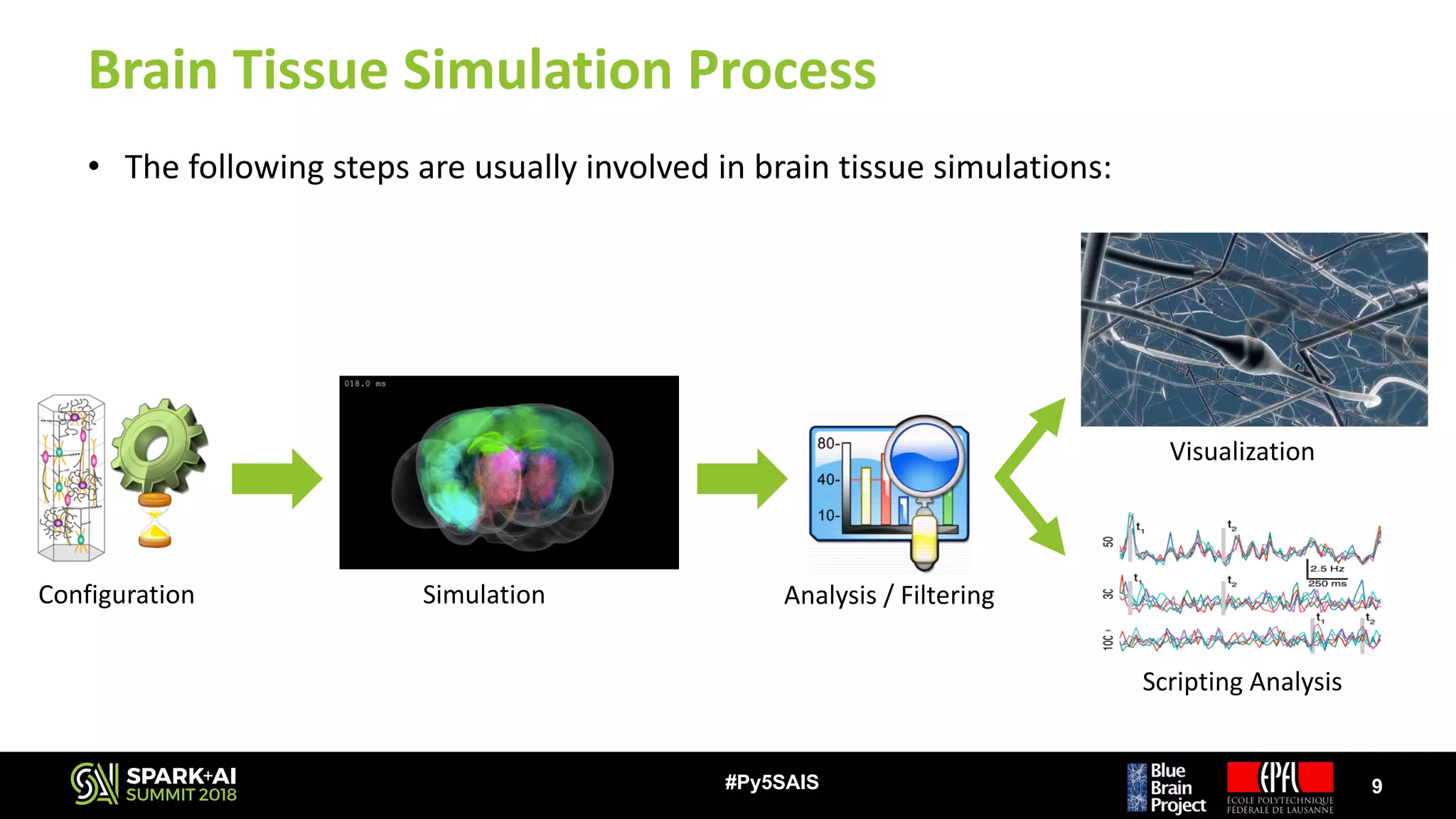 Brain	Tissue	Simulation	Process
• The	following	steps	are	usually	involved	in	brain	tissue	simulations:
9#Py5SAIS
Visualization
Scripting	Analysis
Configuration Analysis	/	FilteringSimulation
 