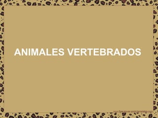ANIMALES VERTEBRADOS
 