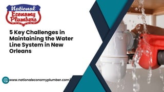 www.nationaleconomyplumber.com/
5 Key Challenges in
Maintaining the Water
Line System in New
Orleans
 