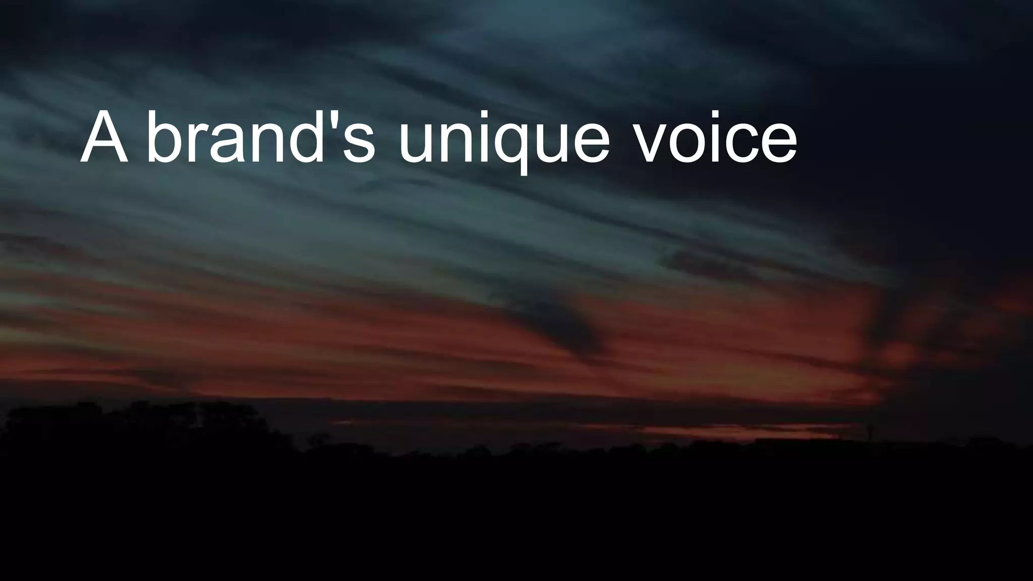 A brand's unique voice
 