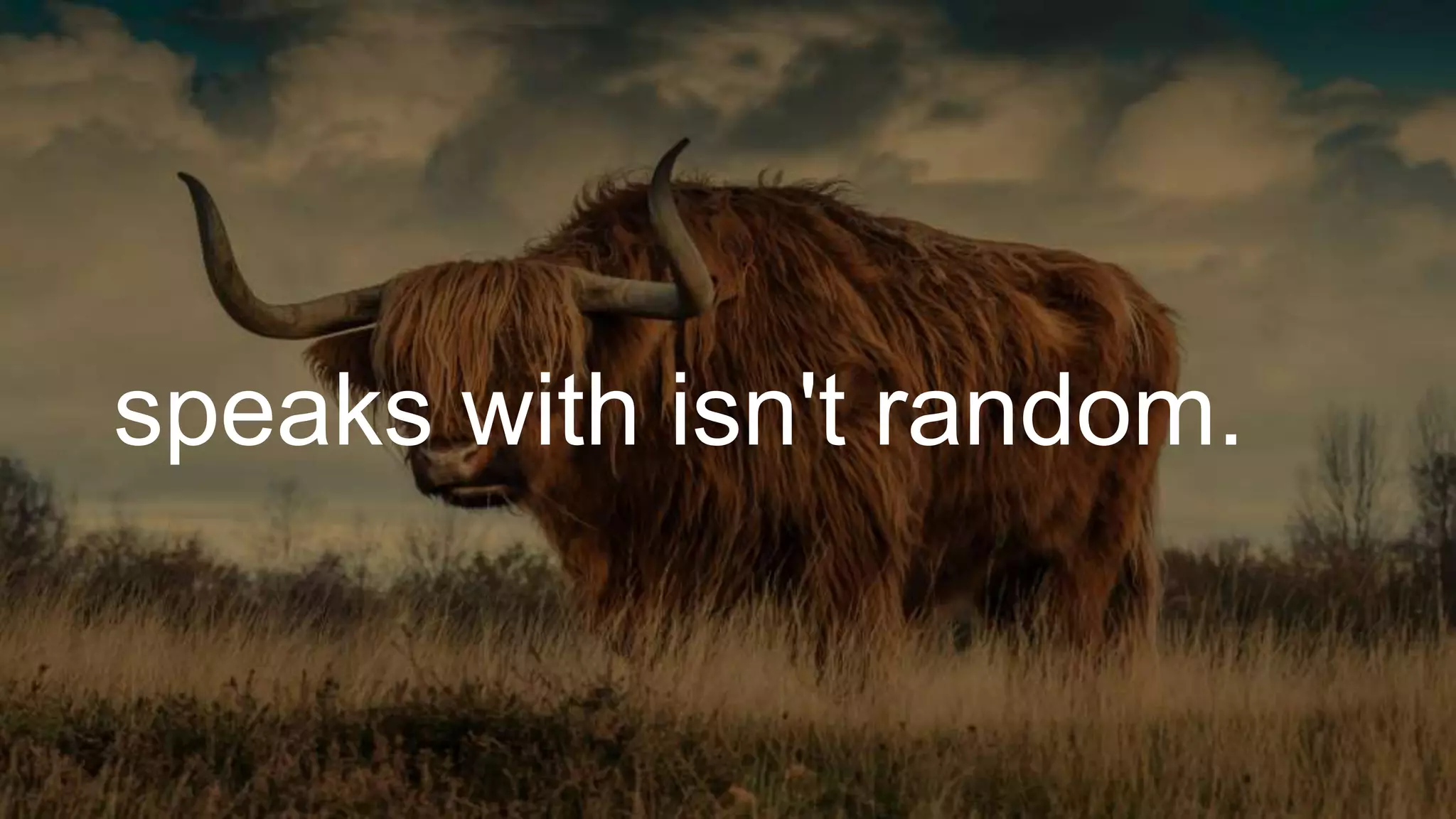 speaks with isn't random.
 