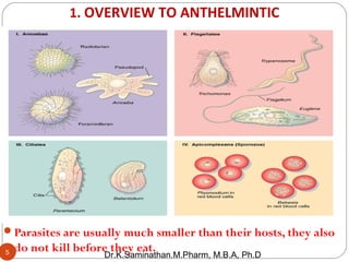 8.ANTHELMINTIC DRUGS | PPT