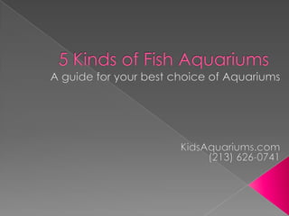 5 Kinds of Fish Aquariums A guide for your best choice of Aquariums KidsAquariums.com (213) 626-0741 