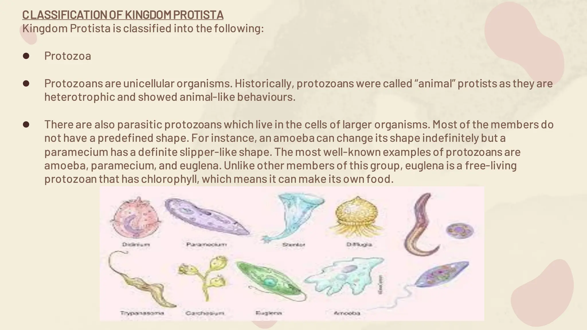 5 KINGDOM-BIO REPORTING.pdf FIVE KINGDOMS | PDF