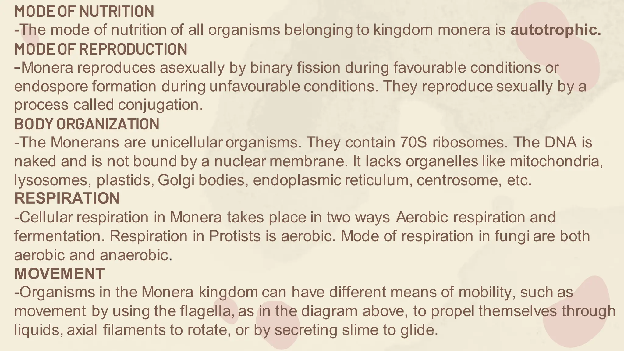 5 KINGDOM-BIO REPORTING.pdf FIVE KINGDOMS | PDF