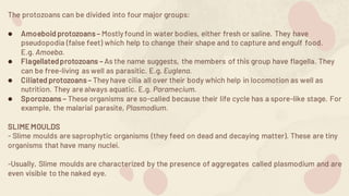The protozoans can be divided into four major groups:
● Amoeboid protozoans– Mostlyfound in water bodies, either fresh or saline. They have
pseudopodia (false feet) which help to change their shape and to capture and engulf food.
E.g. Amoeba.
● Flagellatedprotozoans – As the name suggests, the members of this group have flagella. They
can be free-living as well as parasitic. E.g. Euglena.
● Ciliated protozoans – Theyhave cilia all over their body which help in locomotion as well as
nutrition. They are always aquatic. E.g. Paramecium.
● Sporozoans – These organisms are so-called because their life cycle has a spore-like stage. For
example, the malarial parasite, Plasmodium.
SLIME MOULDS
- Slime moulds are saprophytic organisms (they feed on dead and decaying matter). These are tiny
organisms that have many nuclei.
-Usually, Slime moulds are characterized by the presence of aggregates called plasmodium and are
even visible to the naked eye.
 