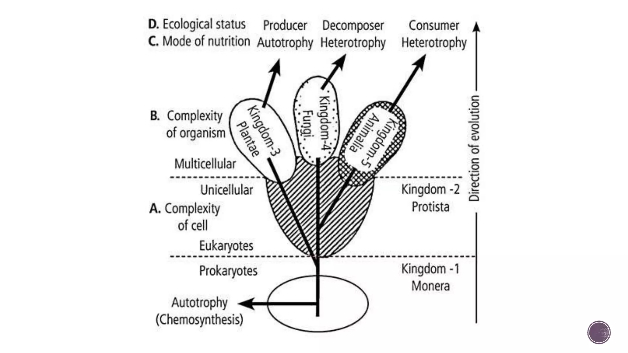Five kingdom classification.pptx