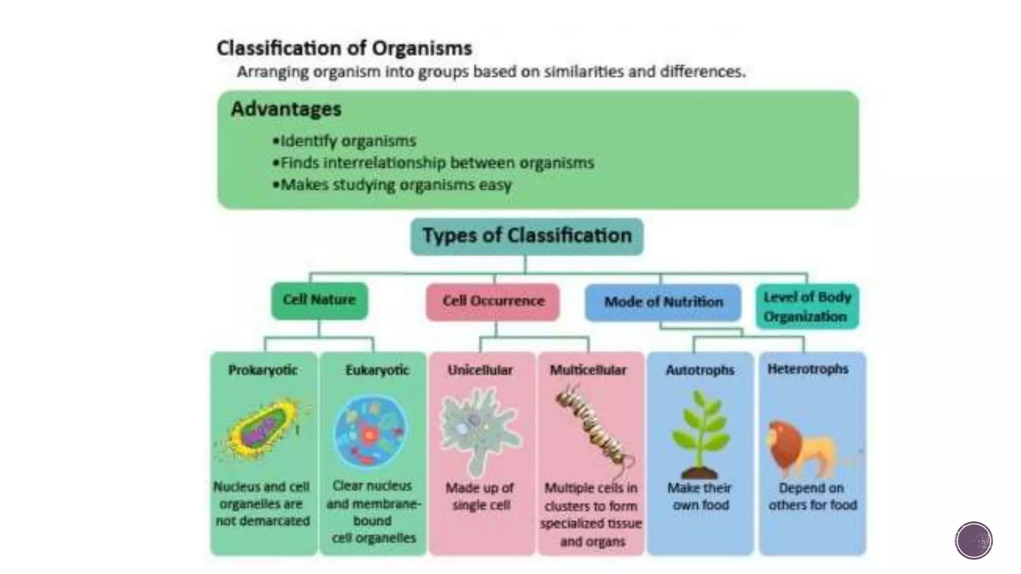 Five kingdom classification.pptx