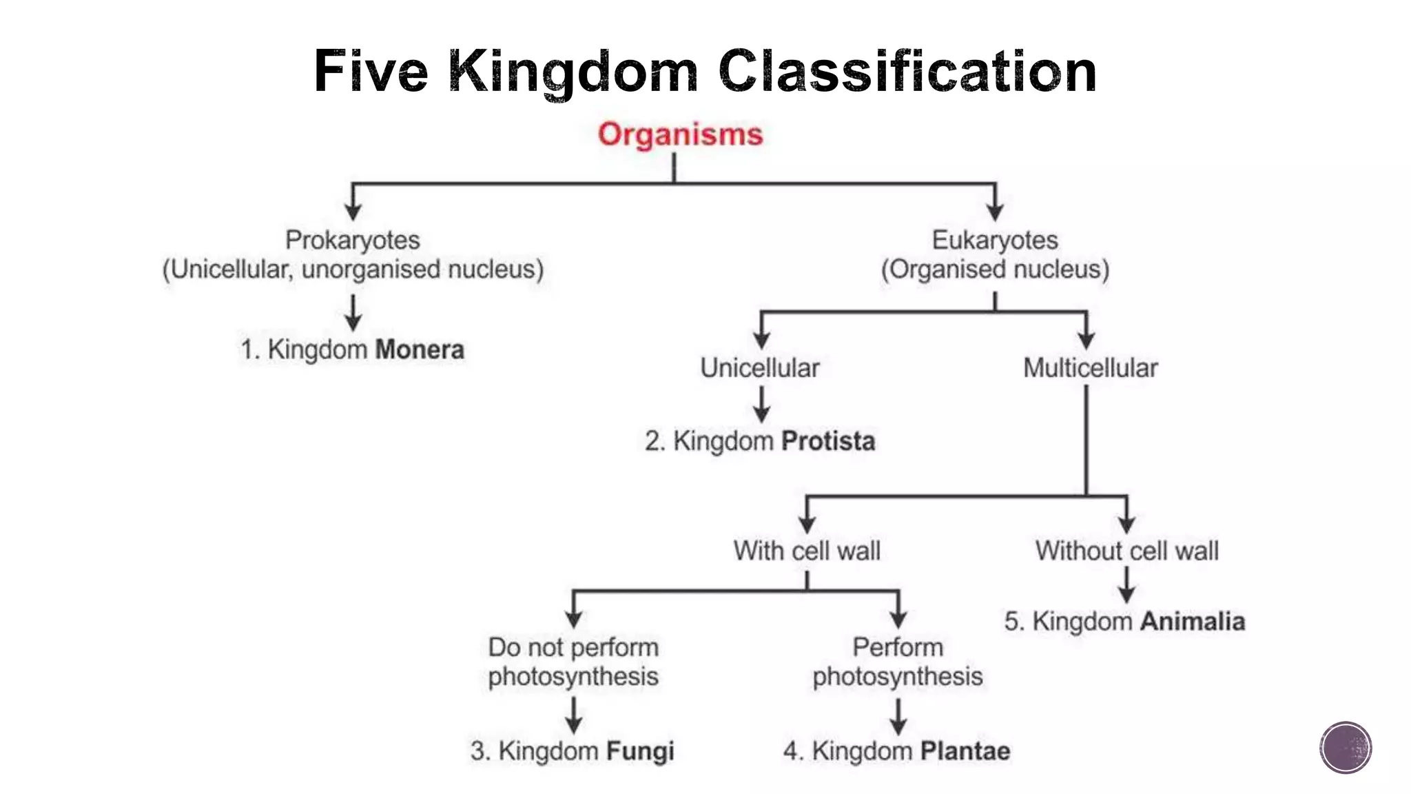 Five kingdom classification.pptx