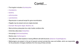  The kingdom includes all prokaryotes-
 mycoplasma,
 bacteria,
 actinomycetes
 cyanobacteria.
 Reproduction is asexual except for gene recombination.
 Flagella may be present and are single-stranded.
 Example- Blue-green algae, Bacteria, etc.
 Most primitive prokaryotes live under hostile conditions like
 Extremely salty areas (halophiles)
 Hot springs (thermoacidophiles)
 Marshy area (methanogens)
 They differ from other bacteria in having different cell wall structures (absence of peptidoglycan).
 Methanogens are present in the gut of several ruminant animals like cows and buffalo, which are responsible
for the production of biogas (methane) from the dung of these animals.
 