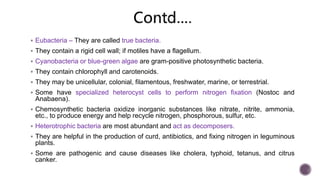  Eubacteria – They are called true bacteria.
 They contain a rigid cell wall; if motiles have a flagellum.
 Cyanobacteria or blue-green algae are gram-positive photosynthetic bacteria.
 They contain chlorophyll and carotenoids.
 They may be unicellular, colonial, filamentous, freshwater, marine, or terrestrial.
 Some have specialized heterocyst cells to perform nitrogen fixation (Nostoc and
Anabaena).
 Chemosynthetic bacteria oxidize inorganic substances like nitrate, nitrite, ammonia,
etc., to produce energy and help recycle nitrogen, phosphorous, sulfur, etc.
 Heterotrophic bacteria are most abundant and act as decomposers.
 They are helpful in the production of curd, antibiotics, and fixing nitrogen in leguminous
plants.
 Some are pathogenic and cause diseases like cholera, typhoid, tetanus, and citrus
canker.
 