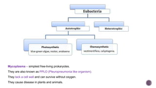 Mycoplasma – simplest free-living prokaryotes.
They are also known as PPLO (Pleuropneumonia like organism).
They lack a cell wall and can survive without oxygen.
They cause disease in plants and animals.
 