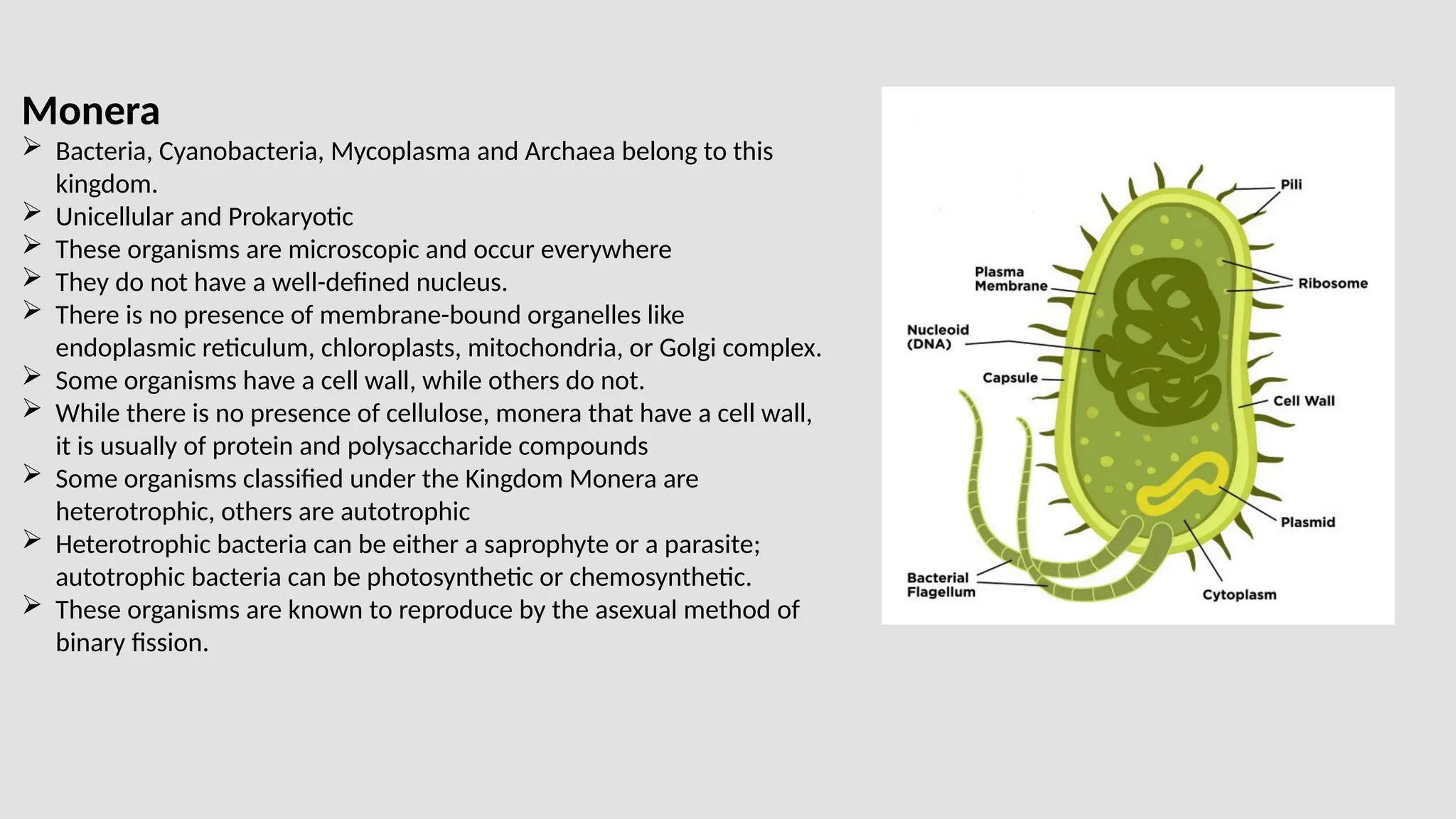 5 KINGDOM CLASSIFICATION by Gulshan Athbhaiya.pptx