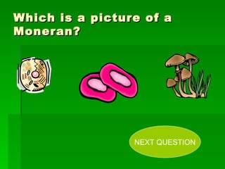 Which is a picture of a Moneran? NEXT QUESTION 