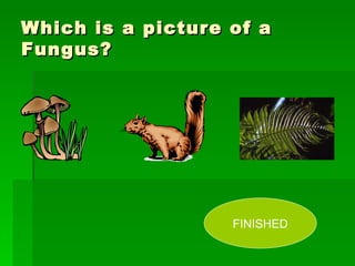 Which is a picture of a Fungus? FINISHED 