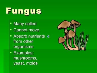 Fungus Many celled Cannot move Absorb nutrients from other organisms Examples:  mushrooms, yeast, molds 