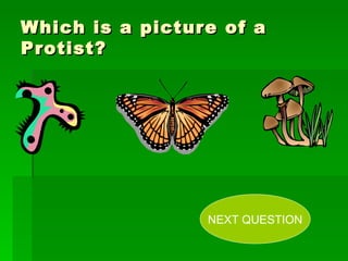 Which is a picture of a Protist? NEXT QUESTION 