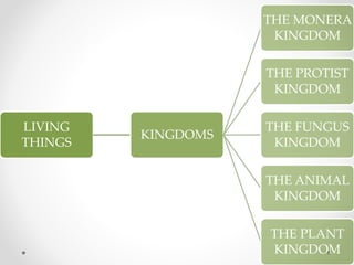 LIVING
THINGS
KINGDOMS
THE MONERA
KINGDOM
THE PROTIST
KINGDOM
THE FUNGUS
KINGDOM
THE ANIMAL
KINGDOM
THE PLANT
KINGDOM
 