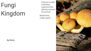 Mushrooms,
molds, yeasts
Fungi
Kingdom
Fungi are usually
motionless
organisms that
absorbs nutrients
for survival.
By Richie