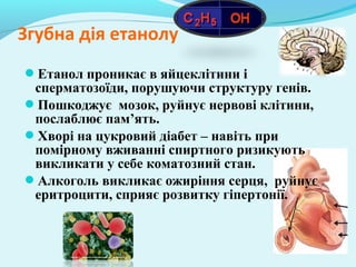 Згубна дія етанолу 
Етанол проникає в яйцеклітини і 
сперматозоїди, порушуючи структуру генів. 
Пошкоджує мозок, руйнує нервові клітини, 
послаблює пам’ять. 
Хворі на цукровий діабет – навіть при 
помірному вживанні спиртного ризикують 
викликати у себе коматозний стан. 
Алкоголь викликає ожиріння серця, руйнує 
еритроцити, сприяє розвитку гіпертонії. 
 