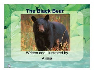 The Black Bear
Written and Illustrated by
Alissa
 