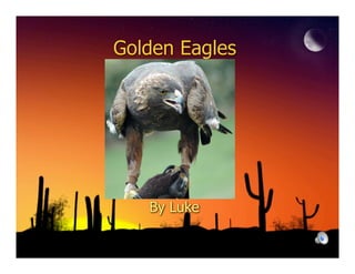Golden Eagles




   By Luke
 