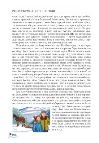 206
РІДНА УКРАЇНА. СВІТ ПРИРОДИ
свою силу й увесь свій відчай у той рух, але провалився ще глибше,
і тепер крижані уламки билися об його спину. Він на мить принишк,
готуючись до нового ривка, і коли його передні ноги злетіли на кригу,
то здавалося, він уже вискочить і врятується, але крига тріснула під
вагою великого тіла — і лось ще раз опинився по шию у воді. Він рев­
нув, кличучи на допомогу, і його очі все густіше набрякали кро-
в’янистим смутком, аж горіли червоним розпачем. Ще раз спробував
вирватися, але вдалося тільки однією ногою — друга вдарилась об
лід і стала майже неслухняна. Вода в ополонці закров’янилася, і чер­
воне зразу ж стікало за течією, зникаючи під кригою.
Лось відчув, що так йому не вирватися. Подібне відчуття вже при­
ходило до нього — саме тоді, коли восени в чорному бору, що стогнав
од вітру, його почала переслідувати вовча зграя. Вовки ось-ось мали
вчепитися за нього, він уловлював подих смерті й утікав тільки тому,
що не міг зупинитися. Тоді його врятували мисливці, вони якраз
наїхали з міста й, нічого не вполювавши, сіли вечеряти. Вони почули
погоню, посхоплювались і, пропустивши мимо себе загнаного лося,
зняли безладну стрілянину по вовчій зграї... Річкова течія була на вид
не така страшна, як вовки, вона мчала не так швидко, вона не обпалю­
вала його своїм смертельним диханням, але течія була така ж невбла­
ганна, і що більшу він розбивав ополонку, то швидше вона могла за-
тягти його під лід. Лось, розуміючи це, намагався поводитись обачно,
але нога боліла, тіло слабло, і сили поступово покидали його. Він
збирався до свого вирішального кидка, і коли знову не пощастило,
то лось на хвилю заспокоївся, бо знав, що це не остання його спроба,
що він пробуватиме безперервно, доти, доки дихатиме.
Два хлопчики вийшли з лісу на берег і спинилися. Приїхали вони
по хмиз, і їхня смирна конячина залишилася на узліссі, а вони виріши­
ли подивитися на річку, чи тріщить на ній лід, чи скоро рушить.
Обидва плечисті, обидва з широкими, лагідними лицями й схожі один
на одного так, як маленький гриб-підберезник схожий на свого біль­
шого сусіда. Вони охопили зором
ріку, і їхні лиця ще більше пом’як-
шали від навколишнього простору,
од тієї втікаючої далини, яка сяга­
ла аж за потойбережні горби. Вони
й не зразу зауважили ополонку, бо
вона була майже не помітна, якби
лось знову не спробував вискочи­
ти на лід.
 