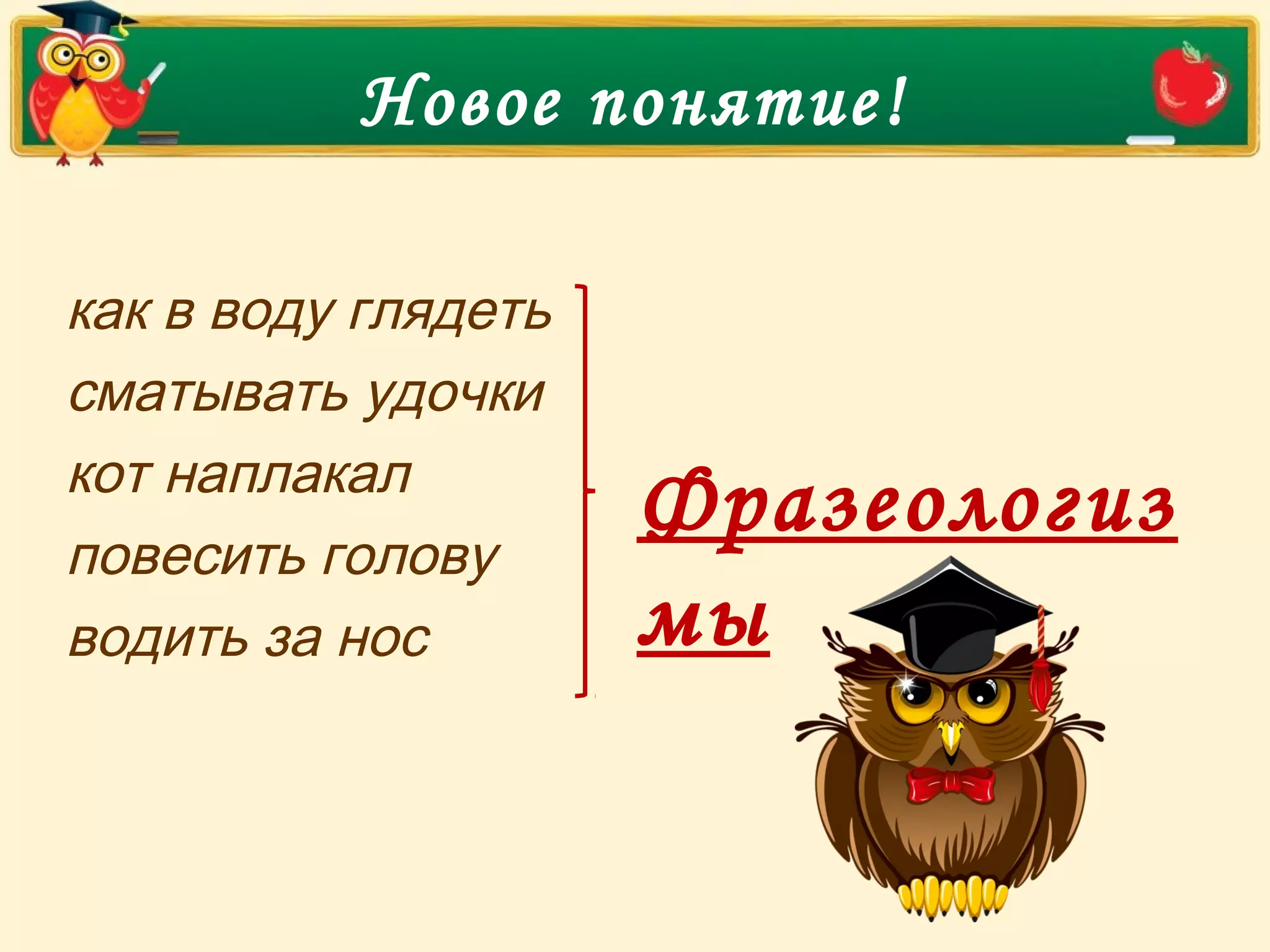 Новое понятие!
как в воду глядеть
сматывать удочки
кот наплакал
повесить голову
водить за нос
Фразеологиз
мы
 