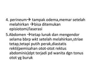 4. perineum tampak odema,memar setelah
melahirkan bisa ditemukan
episiotomi/laserasi
5.Abdomen tetap lunak dan mengendor
selama bbrp wkt setelah melahirkan,striae
tetap,tetapi putih perak,diastatis
rekti(pemisahan otot-otot rektus
abdominis)dpt terjadi pd wanita dgn tonus
otot yg buruk
 