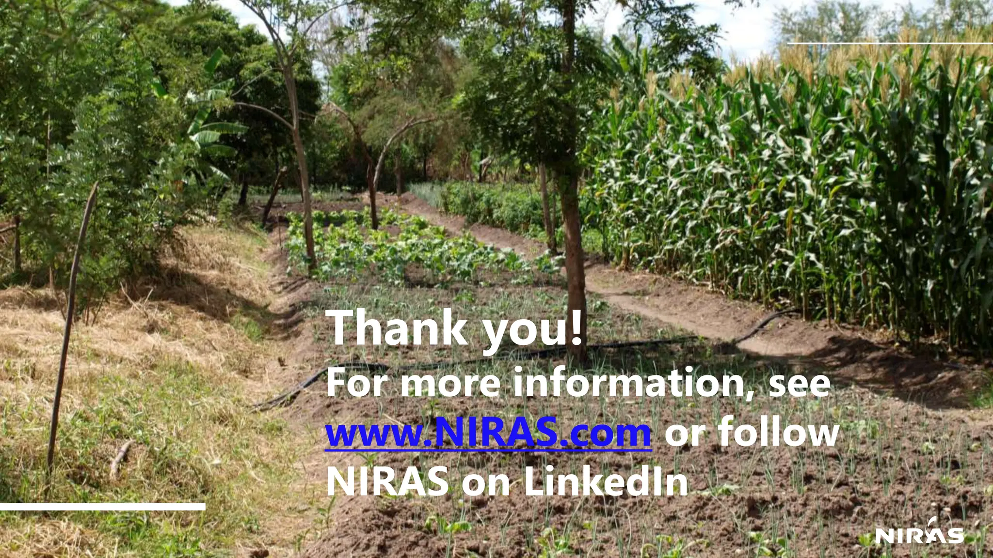 15
Thank you!
For more information, see
www.NIRAS.com or follow
NIRAS on LinkedIn
 