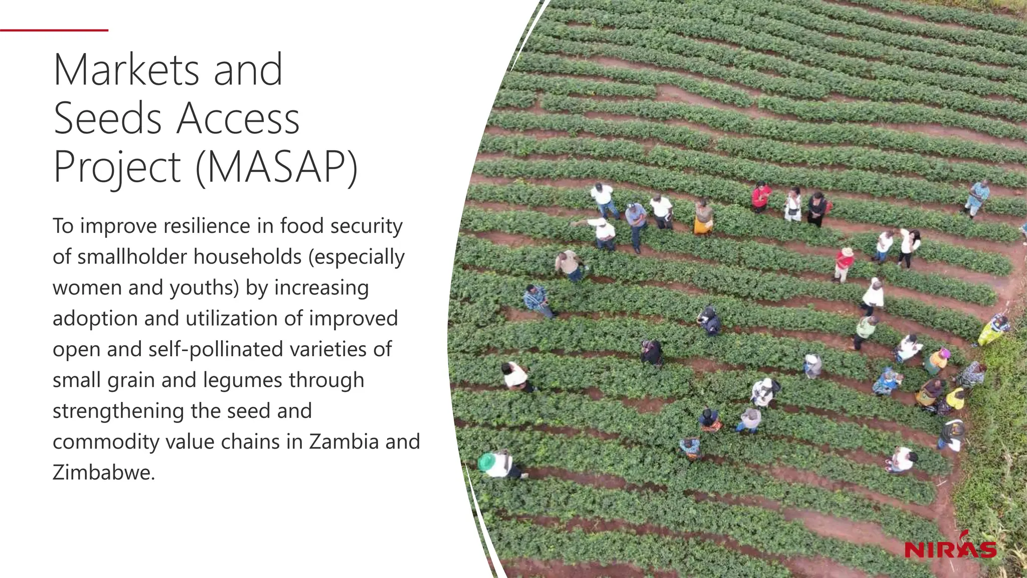 Markets and
Seeds Access
Project (MASAP)
To improve resilience in food security
of smallholder households​ (especially
women and youths) by increasing
adoption and utilization of​ improved
open and self-pollinated varieties of
small grain and legumes through​
strengthening the seed and
commodity value chains in Zambia and​
Zimbabwe.
 