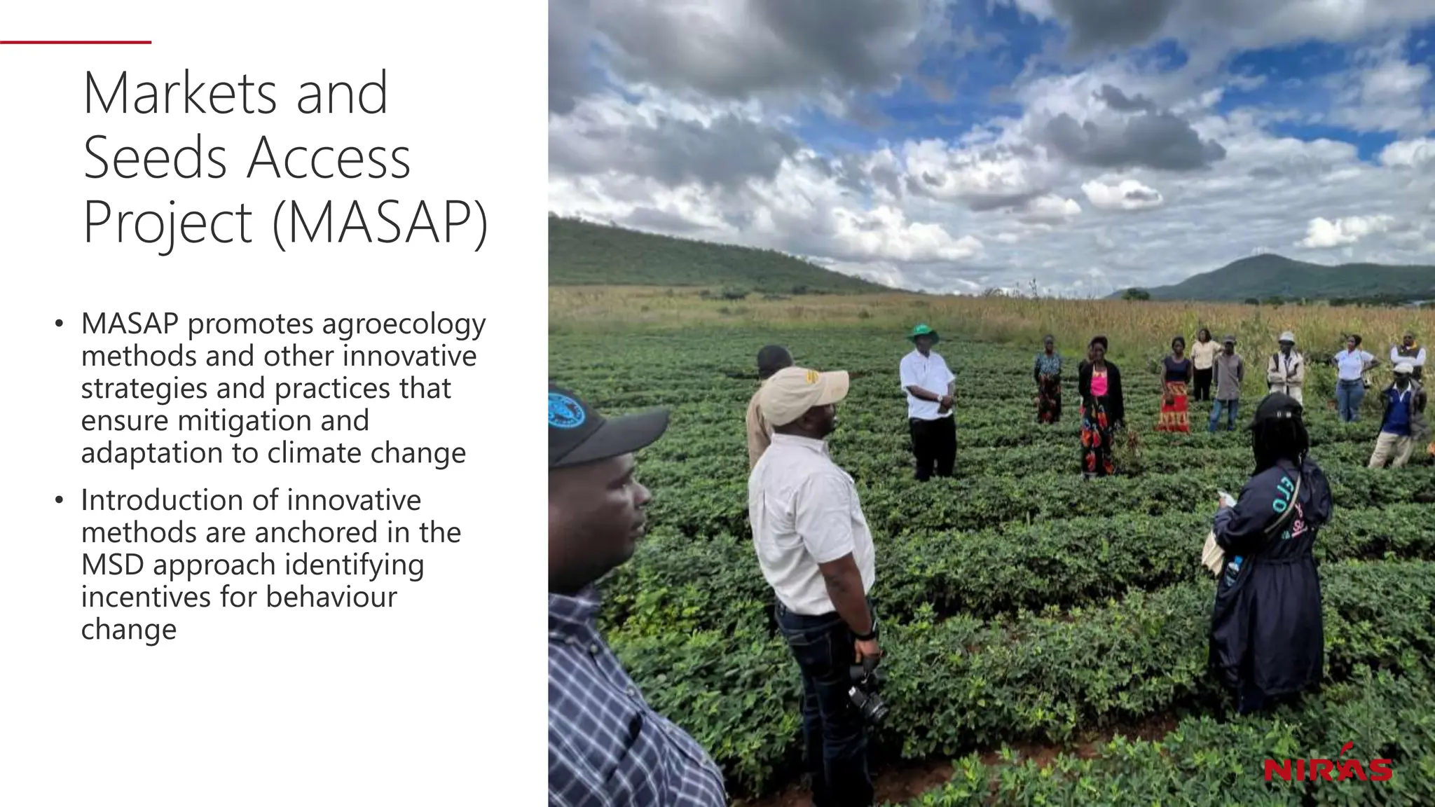 Markets and
Seeds Access
Project (MASAP)
• MASAP promotes agroecology
methods and other innovative
strategies and practices that
ensure mitigation and
adaptation to climate change
• Introduction of innovative
methods are anchored in the
MSD approach identifying
incentives for behaviour
change
 