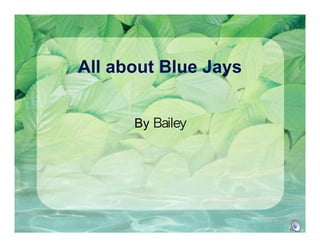 All about Blue Jays
By Bailey
 