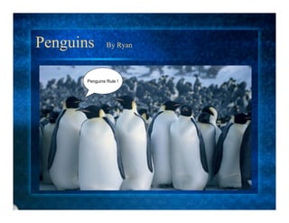 Penguins        By Ryan



       Penguins Rule !
 