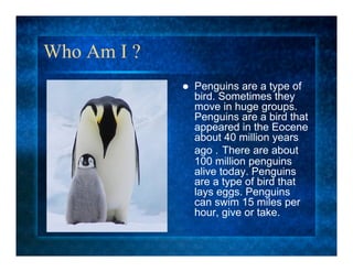 5l Penguins