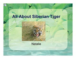 All About Siberian Tiger




         Natalie
 