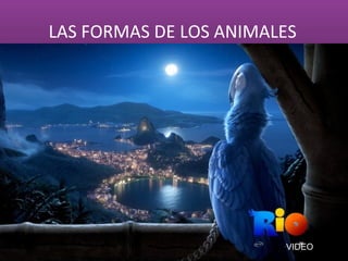 LAS FORMAS DE LOS ANIMALES




                        VIDEO
 