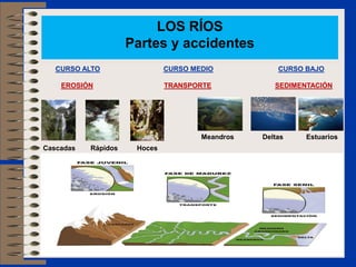 LOS RÍOS
Partes y accidentes
CURSO ALTO CURSO MEDIO CURSO BAJO
EROSIÓN TRANSPORTE SEDIMENTACIÓN
Cascadas Rápidos Hoces
Meandros Deltas Estuarios
 