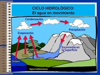 CICLO HIDROLÓGICO:
El agua en movimiento
 