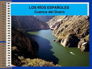 LOS RÍOS ESPAÑOLES
Cuenca del Duero
 