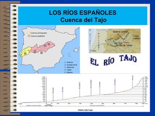 LOS RÍOS ESPAÑOLES
Cuenca del Tajo
 