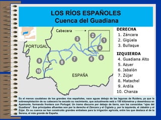 Es el menos caudaloso de los grandes ríos españoles, nace aguas debajo de las lagunas de Ruidera, ya que la
sobreexplotación de su cabecera ha secado su nacimiento, que actualmente está a 150 kilómetros y desemboca en
Ayamonte, formando frontera con Portugal. Un tramo discurre por debajo de tierra, son los conocidos “ojos del
Guadiana”. Sus principales afluentes son por la derecha el Záncara y el Cigüela y, por la izquierda, el Jabalón y el
Zújar. En su cuenca se han construido grandes embalses para la irrigación agrícola, entre los que destaca el de la
Serena, el más grande de España.
LOS RÍOS ESPAÑOLES
Cuenca del Guadiana
 