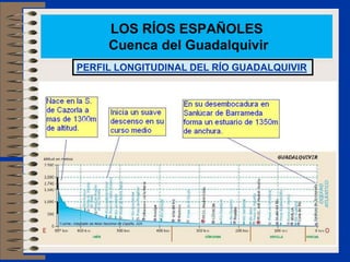 LOS RÍOS ESPAÑOLES
Cuenca del Guadalquivir
PERFIL LONGITUDINAL DEL RÍO GUADALQUIVIR
 