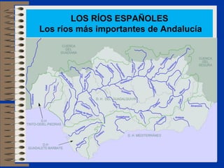 LOS RÍOS ESPAÑOLES
Los ríos más importantes de Andalucía
 